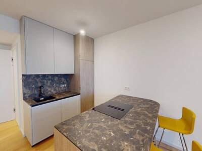 Wohnung mieten in 1020 Wien