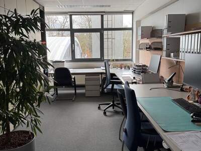 Gewerbeobjekt mieten in 5061 Elsbethen (Bild 3)