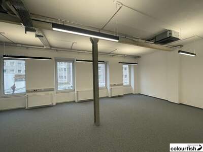 Gewerbeobjekt mieten in 1100 Wien (Bild 5)