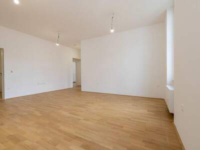 Terrassenwohnung mieten in 2700 Wr. Neustadt (Bild 5)