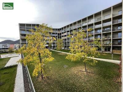 Wohnung mieten in 8020 Graz