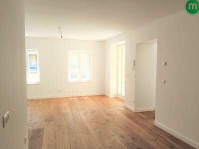 Wohnung kaufen in 1130 Wien (Bild 2)