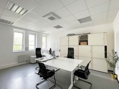 Gewerbeobjekt mieten in 8042 Graz (Bild 3)