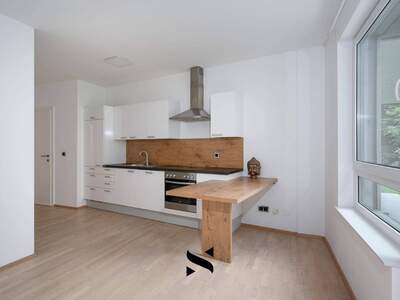 Anlageobjekt kaufen in 8010 Graz