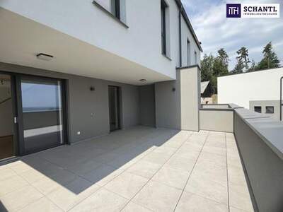 Haus kaufen in 8160 Weiz