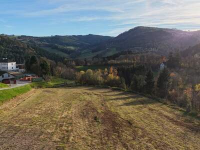 Grundstück kaufen in 2833 Bromberg