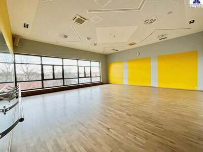 Gewerbeobjekt mieten in 2320 Schwechat (Bild 4)