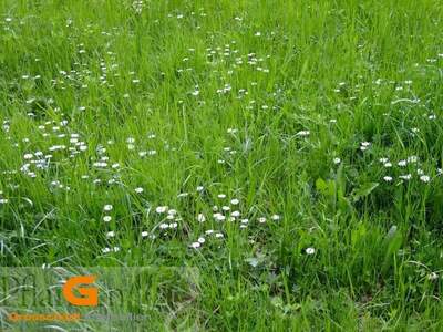 Grundstück mieten in 5202 Neumarkt