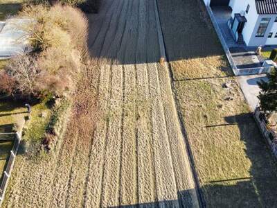 Grundstück kaufen in 4614 Marchtrenk