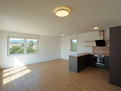 Terrassenwohnung kaufen in 2345 Brunn (Bild 3)