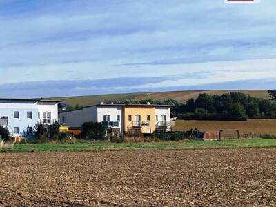 Mietwohnung in 2116 Niederleis