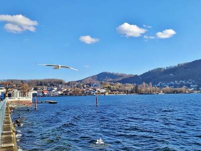 Haus kaufen in 4810 Gmunden