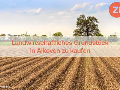 Land- und Forstwirtschaft kaufen in 4072 Alkoven