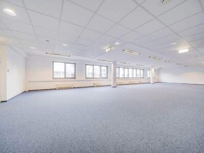 Gewerbeobjekt mieten in 1050 Wien (Bild 2)