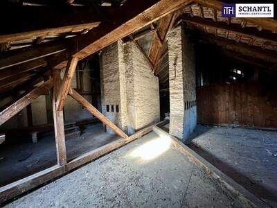 Wohnanlage kaufen in 1100 Wien (Bild 3)