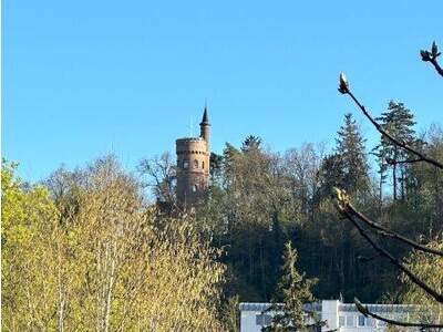 Grundstück kaufen in 4600 Wels (Bild 2)