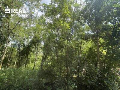 Grundstück kaufen in 2425 Nickelsdorf (Bild 3)