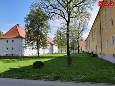 Wohnung mieten in 4400 Steyr (Bild 1)