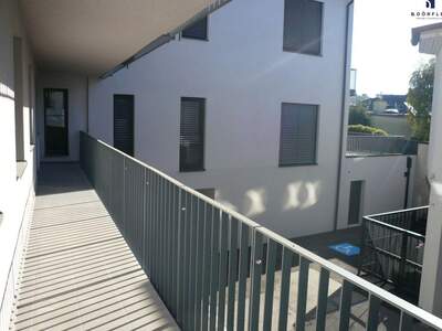 Gewerbeobjekt mieten in 9560 Feldkirchen (Bild 2)