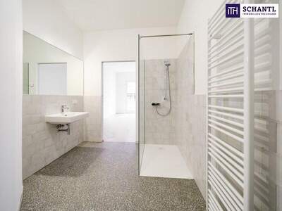 Terrassenwohnung kaufen in 1080 Wien (Bild 3)