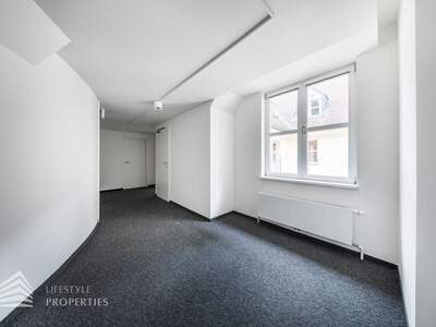 Gewerbeobjekt mieten in 1010 Wien (Bild 4)