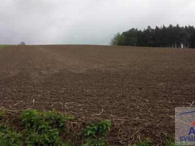 Gewerbeobjekt kaufen in 4342 Baumgartenberg