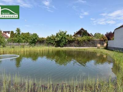 Terrassenwohnung kaufen in 3500 Krems (Bild 2)