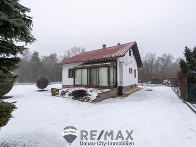 Einfamilienhaus kaufen in 2821 Lanzenkirchen (Bild 1)