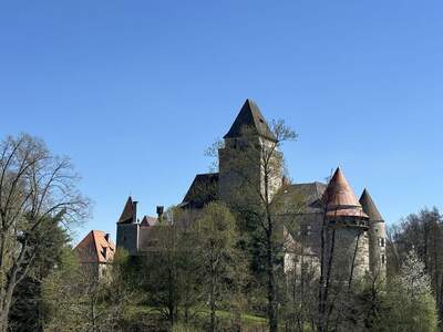Dachgeschosswohnung provisionsfrei mieten in 3860 Heidenreichstein