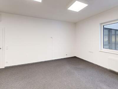 Gewerbeobjekt mieten in 8434 Tillmitsch (Bild 3)