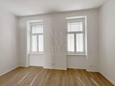 Gewerbeobjekt mieten in 1070 Wien (Bild 3)