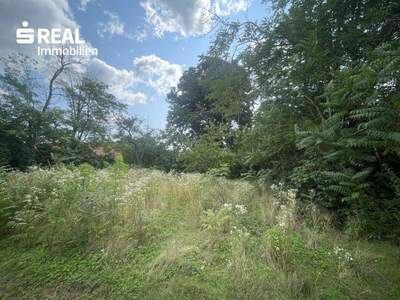 Grundstück kaufen in 2425 Nickelsdorf (Bild 4)