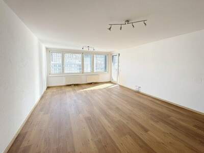 Terrassenwohnung mieten in 1220 Wien (Bild 3)