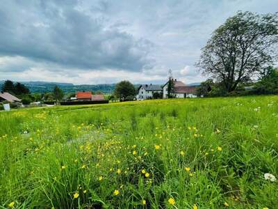Grundstück kaufen in 9162 Ferlach