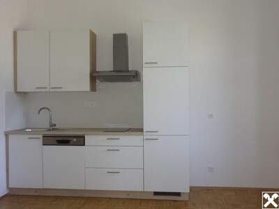 Gewerbeobjekt mieten in 2870 Aspang Markt (Bild 4)