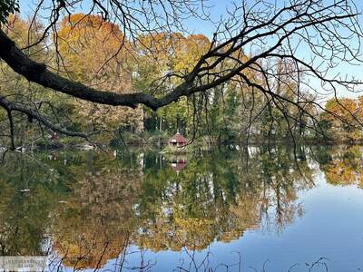 Grundstück kaufen in 2486 Pottendorf (Bild 5)