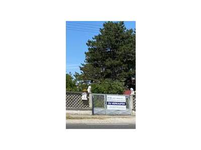 Grundstück kaufen in 2231 Strasshof (Bild 4)