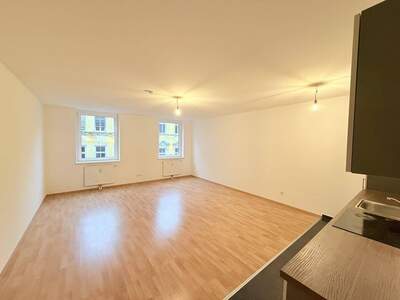 Wohnung mieten in 1100 Wien