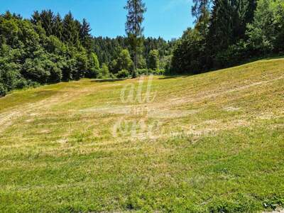 Grundstück kaufen in 9062 Moosburg