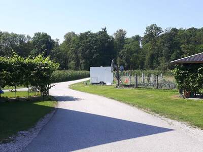 Wohnung provisionsfrei mieten in 4651 Stadl