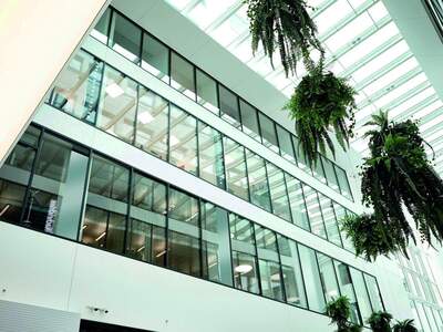 Gewerbeobjekt mieten in 4020 Linz (Bild 1)