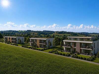 Anlageobjekt kaufen in 4713 Gallspach