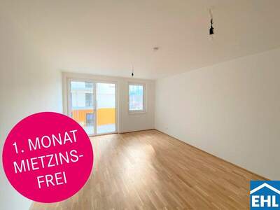 Terrassenwohnung mieten in 1100 Wien (Bild 1)