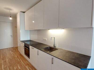 Terrassenwohnung mieten in 1100 Wien (Bild 3)