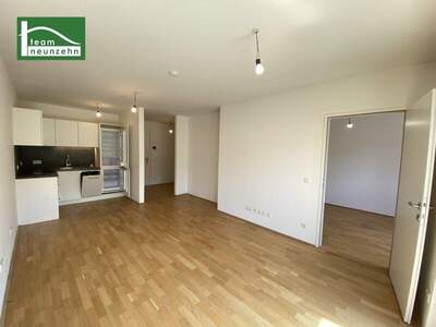 Terrassenwohnung mieten in 1210 Wien (Bild 3)