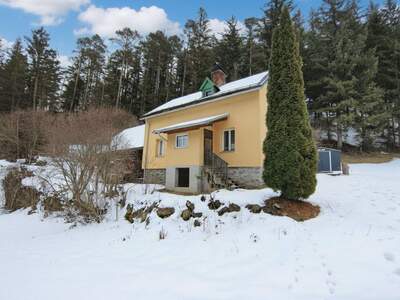 Haus mieten in 8692 Neuberg (Bild 3)