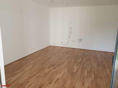 Mietwohnung in 4600 Wels (Bild 5)