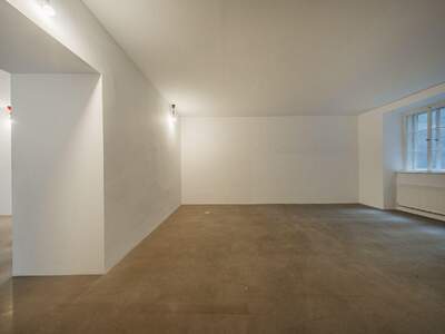 Gewerbeobjekt mieten in 1010 Wien (Bild 5)