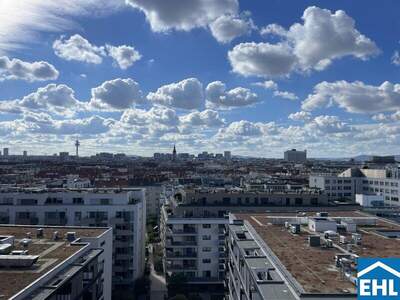 Terrassenwohnung mieten in 1030 Wien (Bild 1)