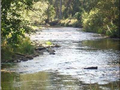 Gewerbeobjekt kaufen in 9611 Nötsch
